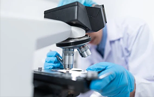 生物医药 探索全产业链开放 